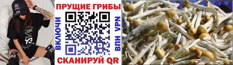 Псилоцибиновые грибы ЛСД  Сафоново 