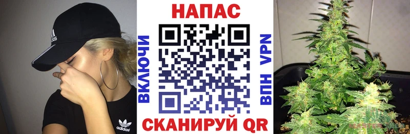 OMG как зайти  Сафоново  Бошки марихуана THC 21%  наркошоп 
